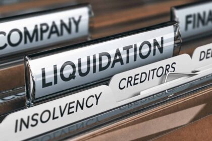 Business Liquidation Procedure: Legal Literacy and Efficiency